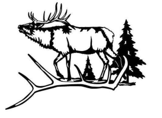 Elk Antler scene